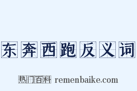 东奔西跑反义词是什么意思的图片